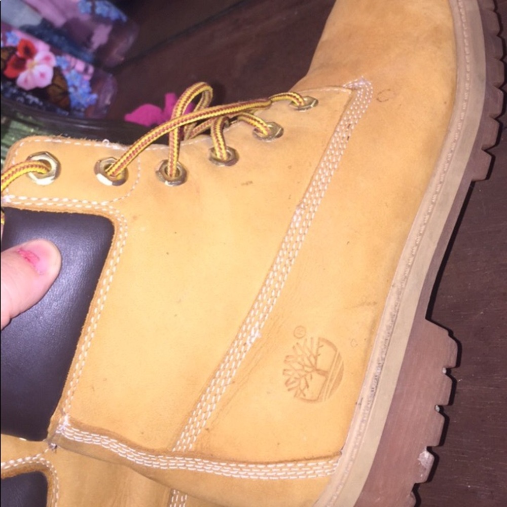 Timberlands - Picture 3 of 5